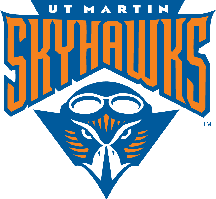 Tennessee-Martin Skyhawks 1995-2007 Primary Logo diy DTF decal sticker